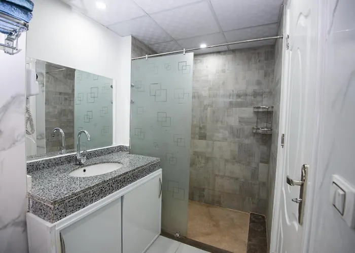 Elegant With Private Access At Scandic Apartman