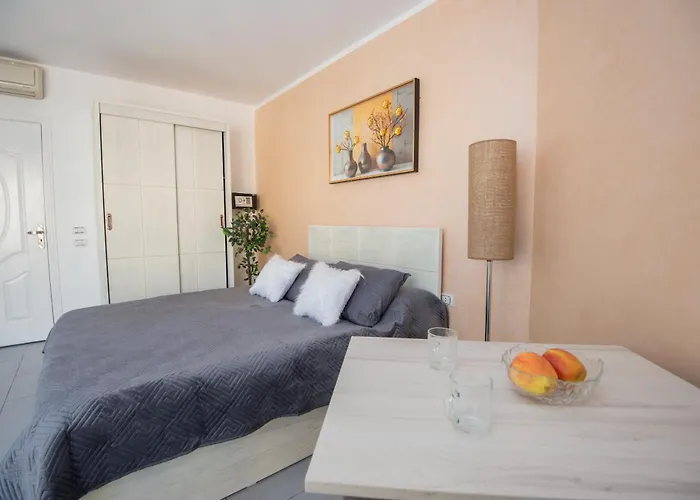 Elegant With Private Access At Scandic *