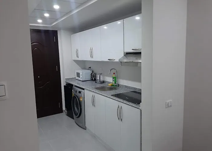 Elegant With Private Access At Scandic